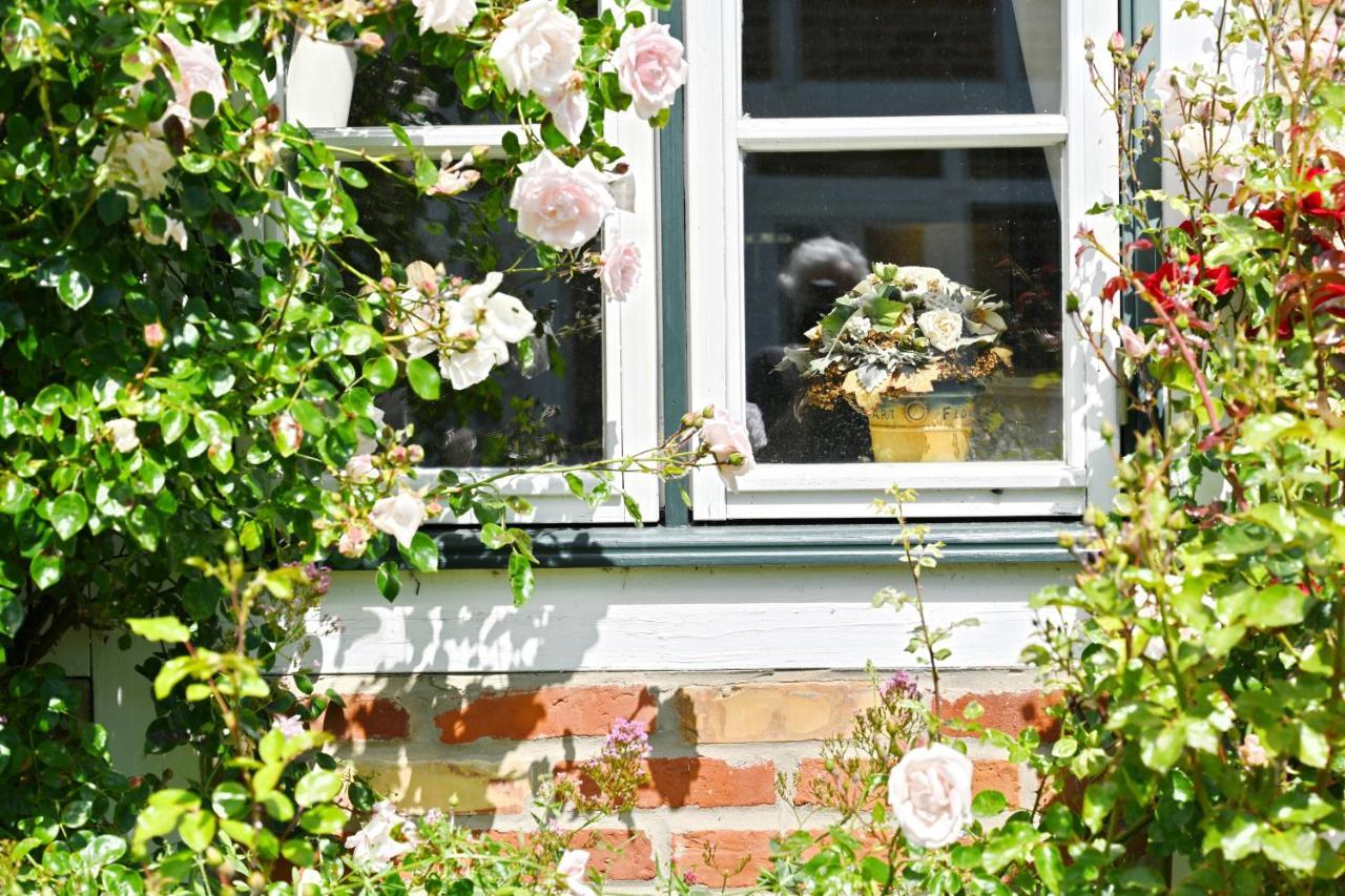 Landhaus Vilmnitz - Wohnung 8 エクステリア 写真